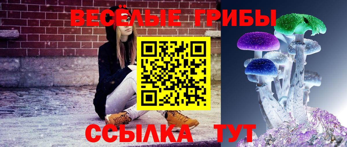 Галлюциногенные грибы GOLDEN TEACHER  где найти наркотики  Аша  Вход с VPN 
